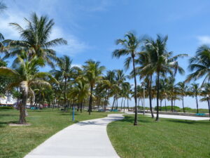 Paseo de Miami en Florida