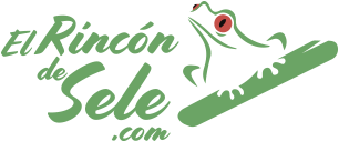 Logo El Rincon de Sele Reiseblog