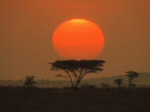 Atardecer en el Serengueti (Tanzania)